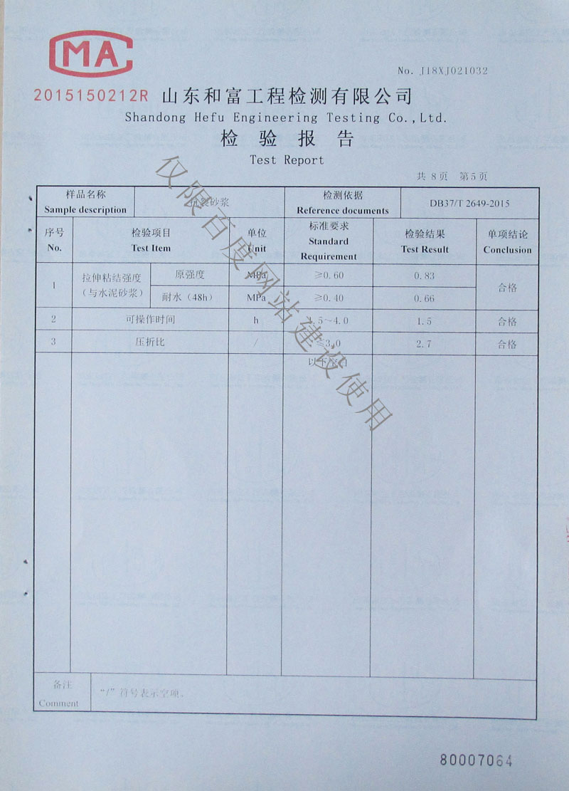 檢驗報告第5頁